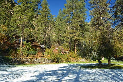 Forest Houses, November 2015